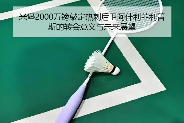 米堡2000万镑敲定热刺后卫阿什利菲利普斯的转会意义与未来展望
